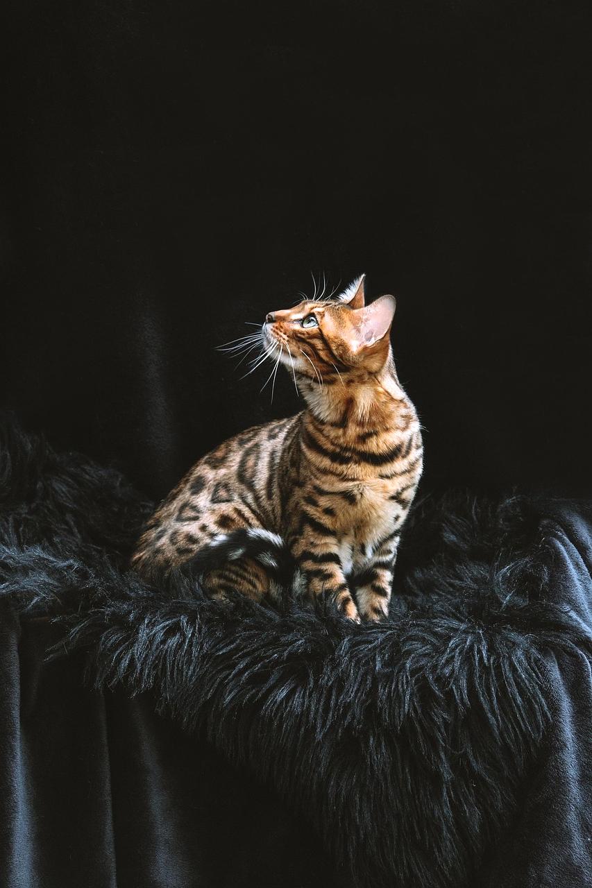 Portrait of CEO Jane Smith